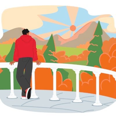 The Pines